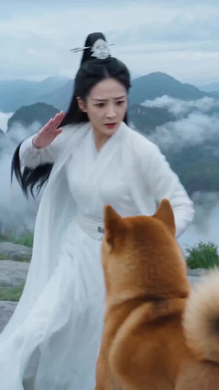 柴犬vs古装美女 搞笑反差